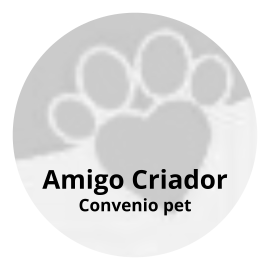 Projeto Amigo Criador 